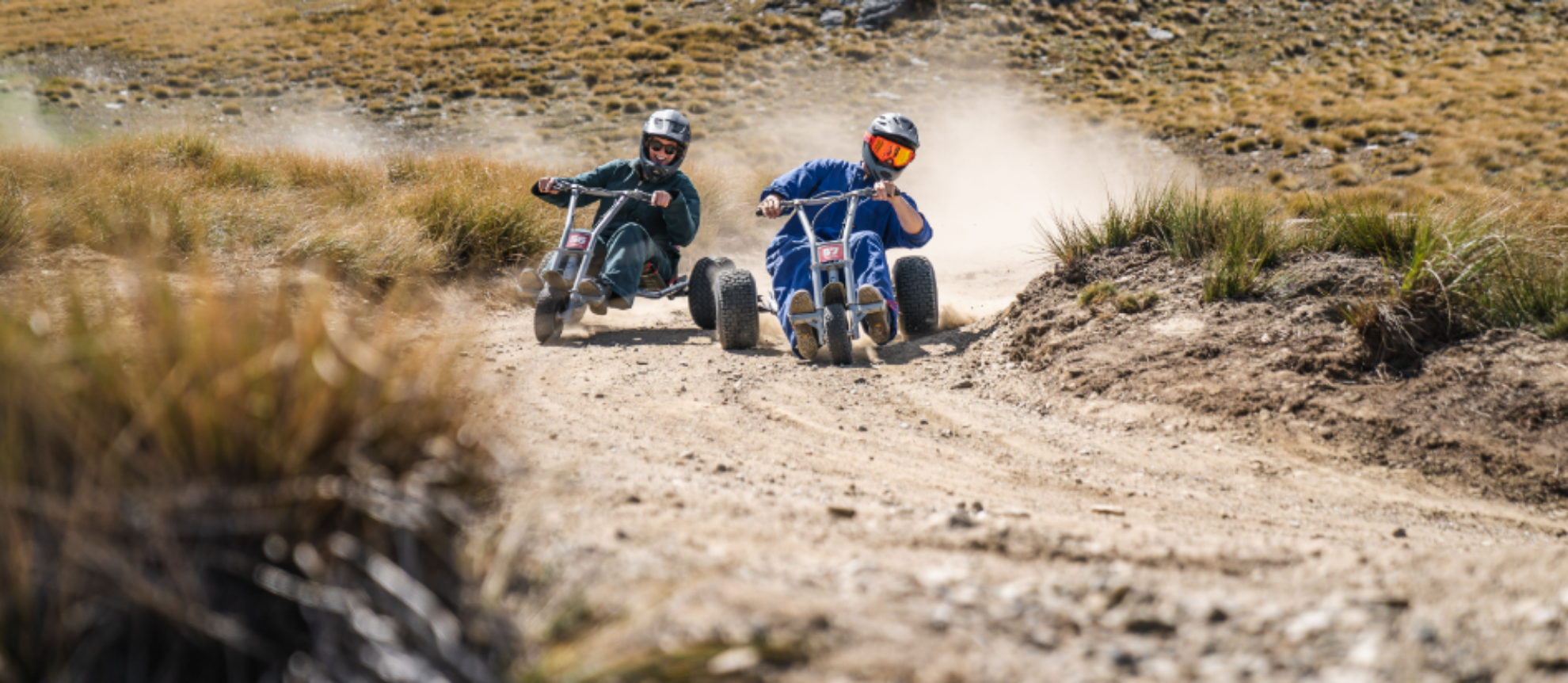 Picture of Summer Mountain Carting